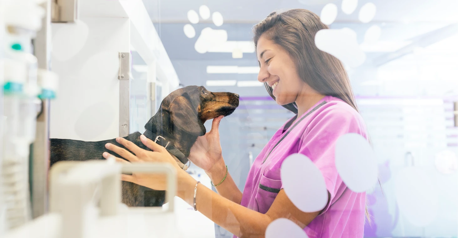 Photo des aménagements de la clinique.