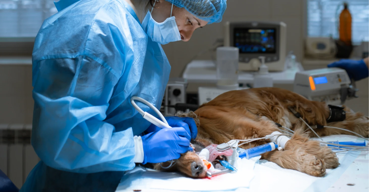 Photo des aménagements de la clinique.