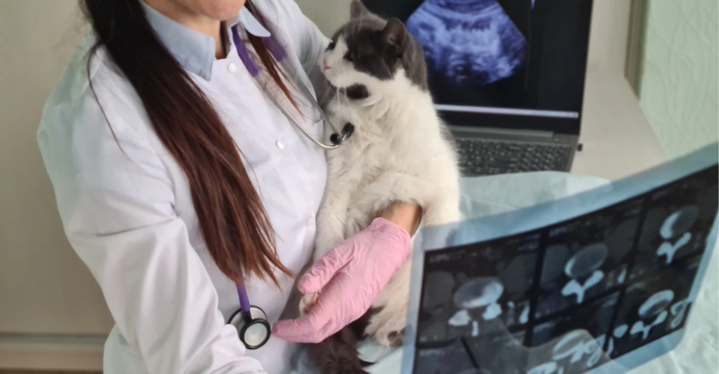 Photo des aménagements de la clinique.