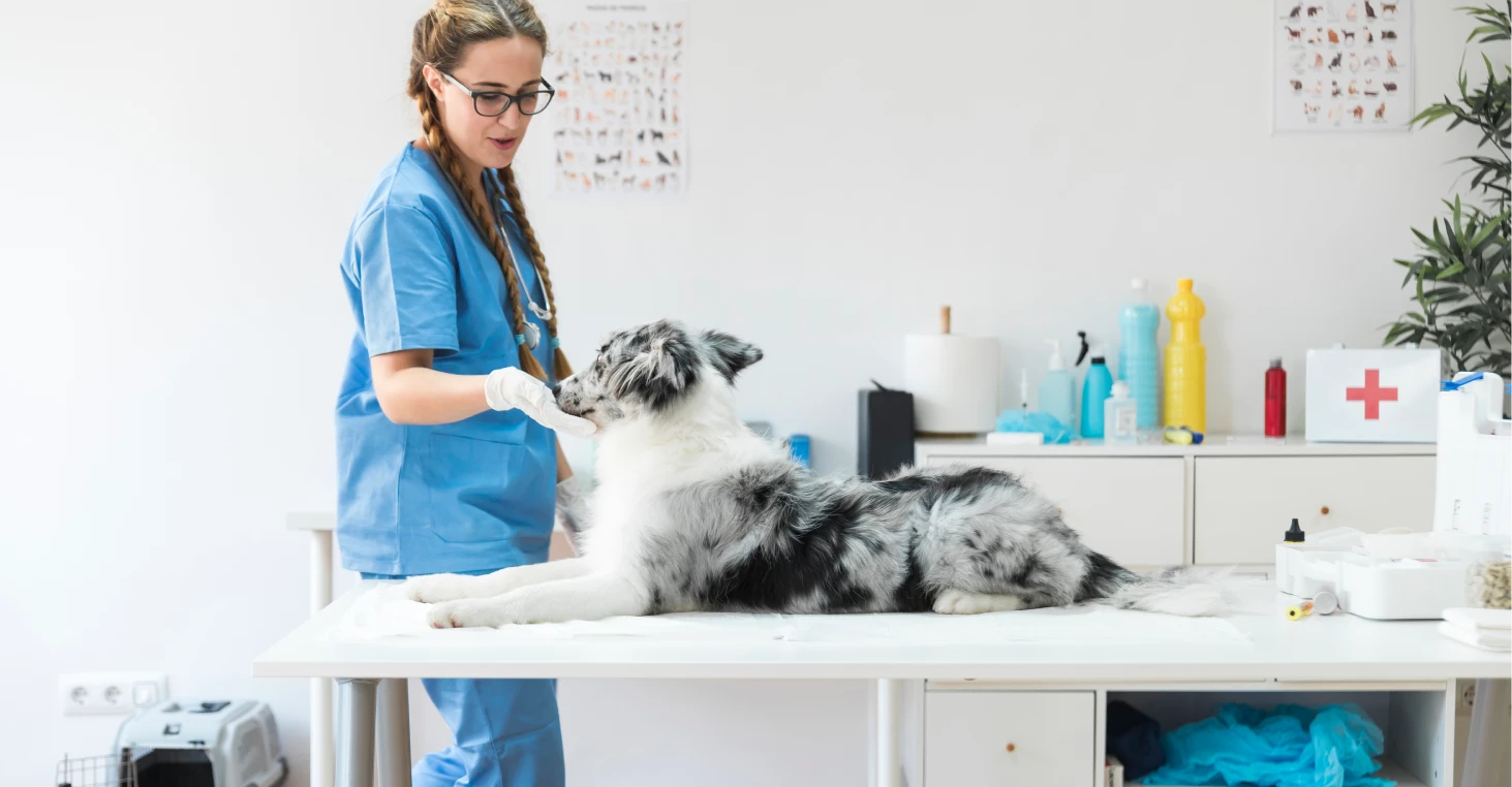 Photo des aménagements de la clinique.